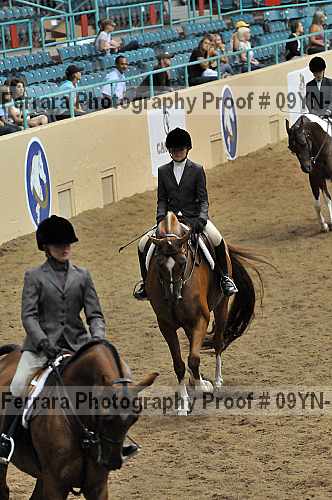Proof 09yn-13797