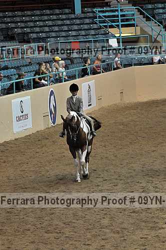 Proof 09yn-13798