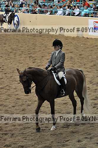 Proof 09yn-13799