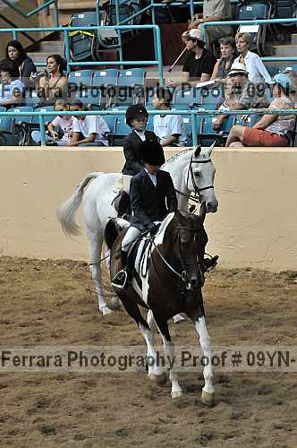 Proof 09yn-13801