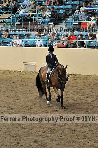 Proof 09yn-13805