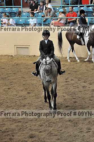 Proof 09yn-13806