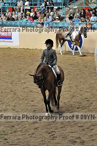 Proof 09yn-13807
