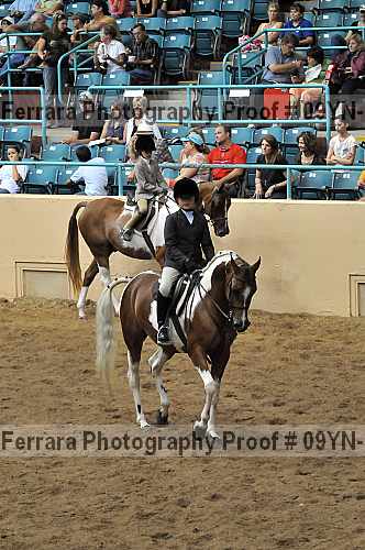 Proof 09yn-13809