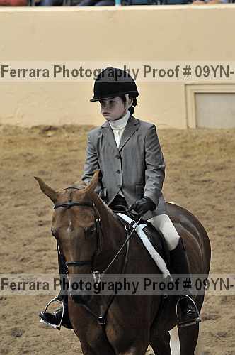 Proof 09yn-13811