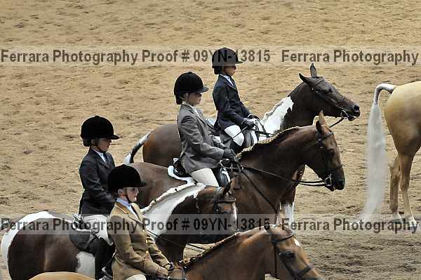 Proof 09yn-13815