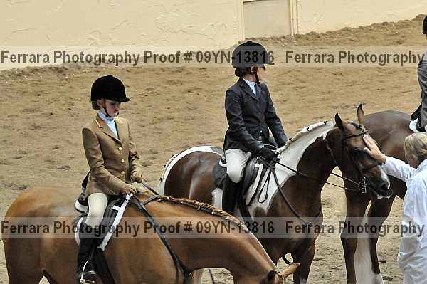 Proof 09yn-13816