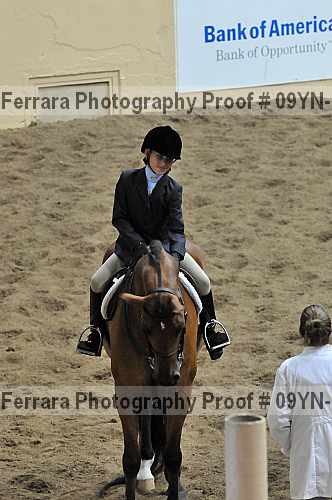Proof 09yn-13817