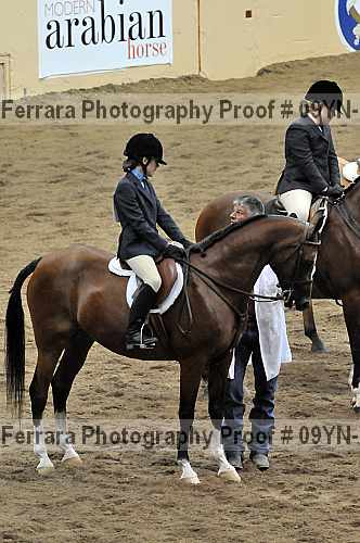 Proof 09yn-13818