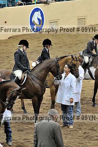 Proof 09yn-13819