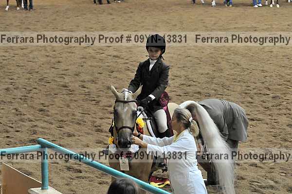 Proof 09yn-13831