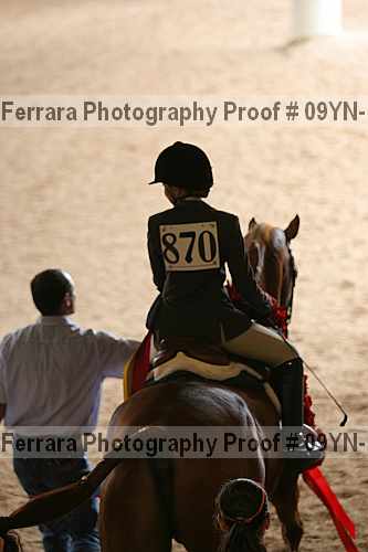 Proof 09yn-13838