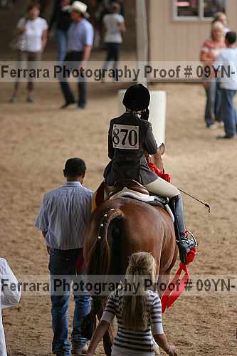 Proof 09yn-13840