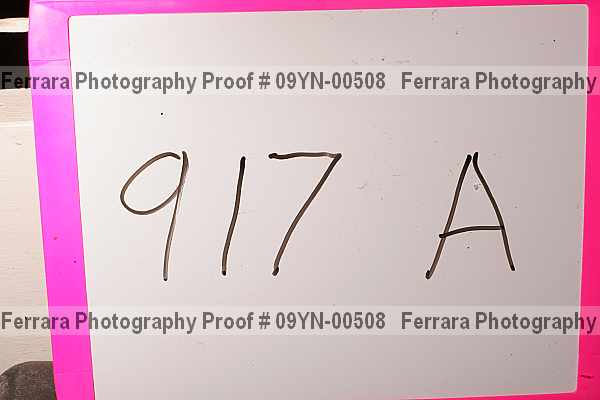 Proof 09yn-00508