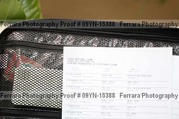 Proof 09yn-15388