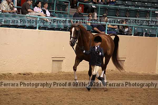 Proof 09yn-15391