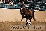 09yn-15391 proof