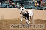 09yn-15417 proof