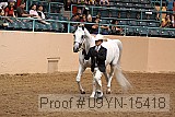 09yn-15418 proof