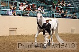 09yn-15419 proof