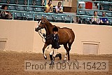 09yn-15423 proof