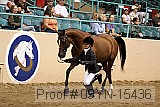 09yn-15436 proof
