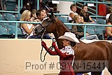 09yn-15441 proof