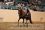09yn-15452 proof