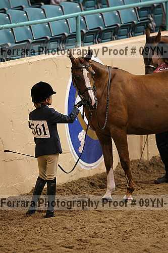 Proof 09yn-15473