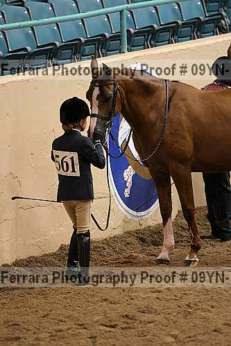 Proof 09yn-15474