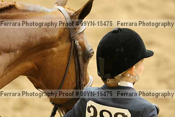 Proof 09yn-15475