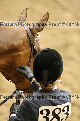 Proof 09yn-15476