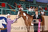 09yn-15483 proof