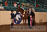 09yn-15493 proof