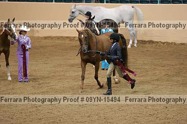 Proof 09yn-15494