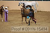 09yn-15494 proof