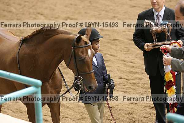 Proof 09yn-15498