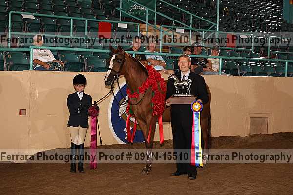 Proof 09yn-15510