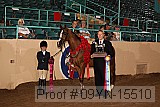 09yn-15510 proof