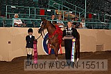 09yn-15511 proof