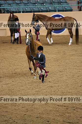 Proof 09yn-15512