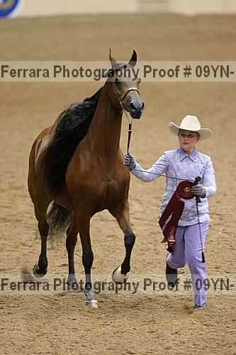 Proof 09yn-15528