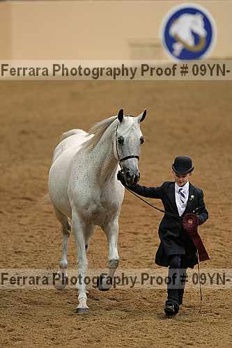 Proof 09yn-15533