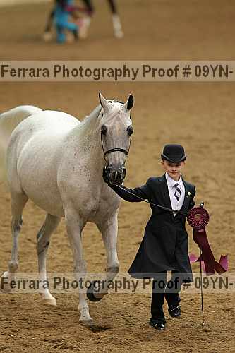 Proof 09yn-15534