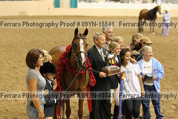 Proof 09yn-15541