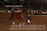 09yn-15546 proof