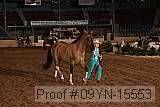 09yn-15553 proof