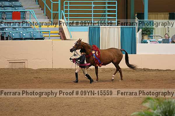 Proof 09yn-15559