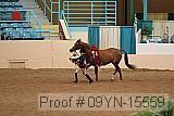 09yn-15559 proof