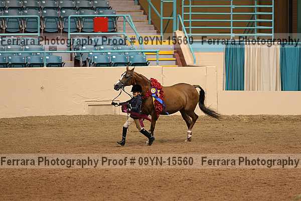 Proof 09yn-15560